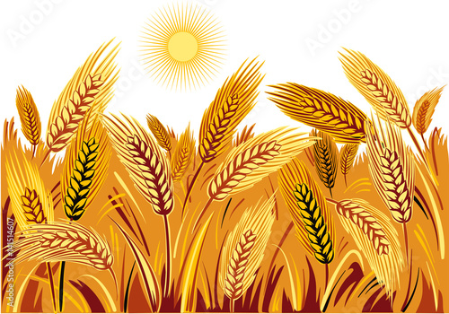 Landscape with wheat field.