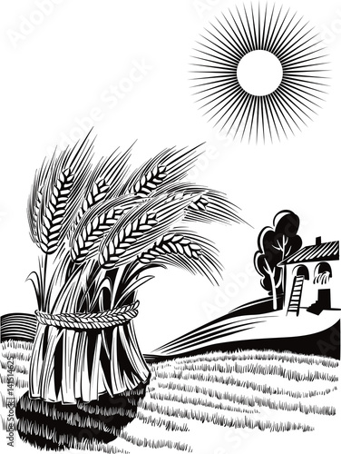 rural landscape with sheaf of ripe wheat.