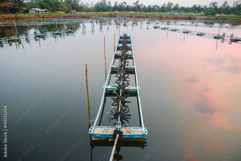 Fototapeta premium Aerator in white shrimp pond