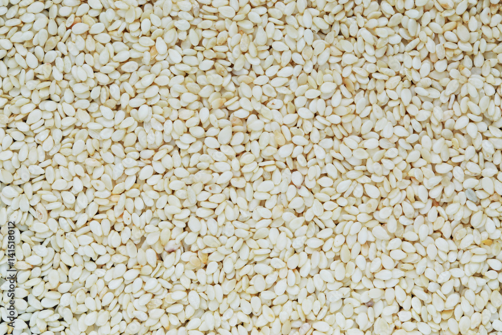placer sesame seed placer sesame seed