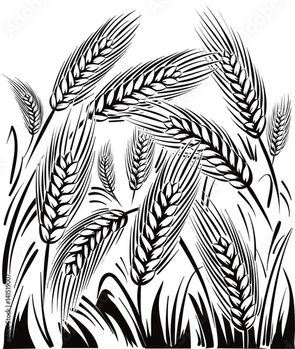 wheat field, under a sun.