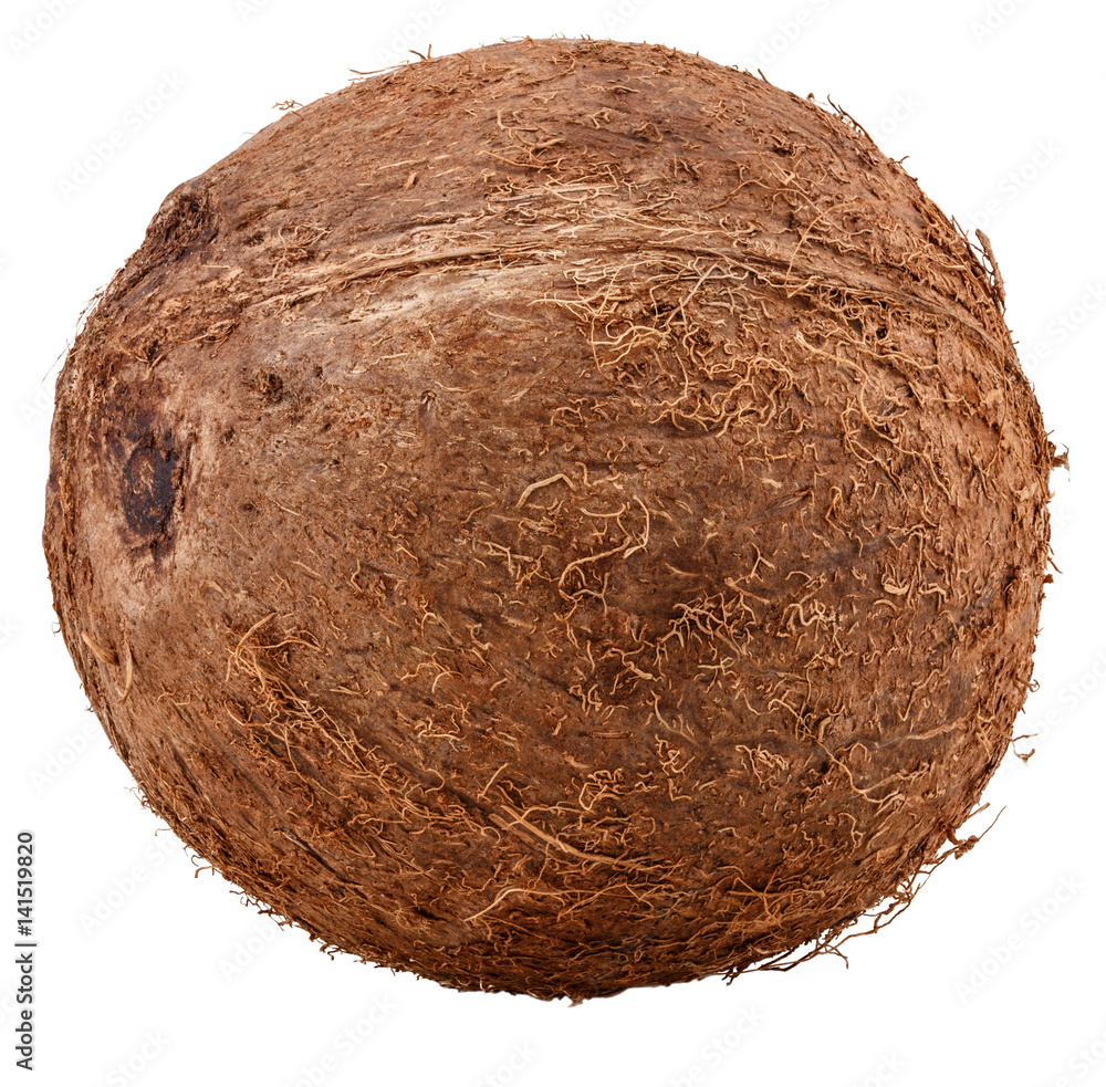 Fototapeta premium coconut Isolated on white background