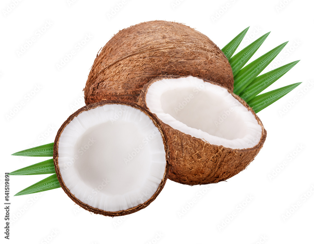 Coconut set leaves Coconut set leaves
