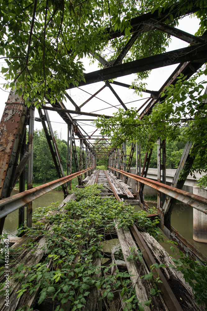 Nature Takes Over the Rails