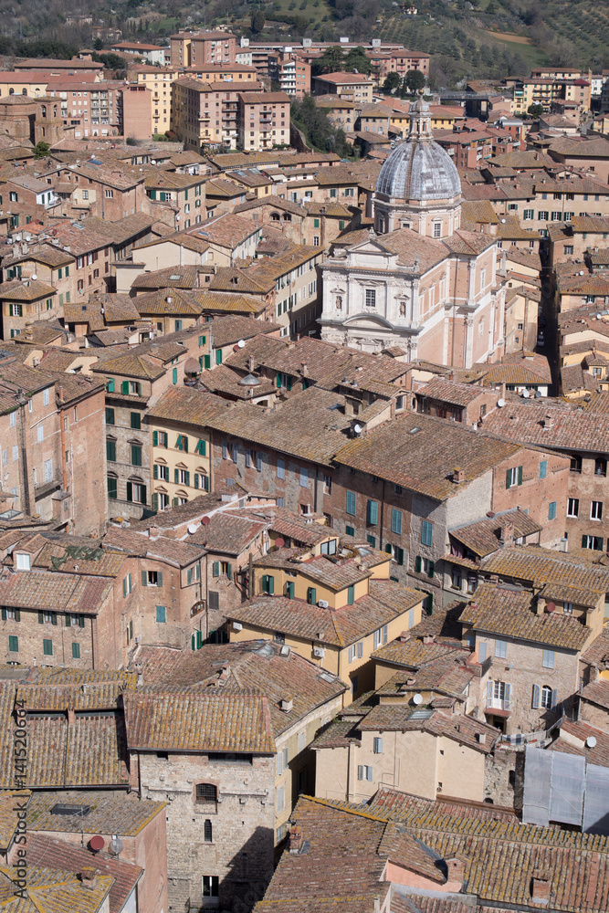 Rooftops of Siena