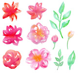 Pink watercolor flowers