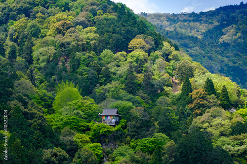 Colorful temple on a hillside surrounded by trees photo