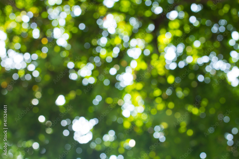 Fototapeta premium Green Bokeh background