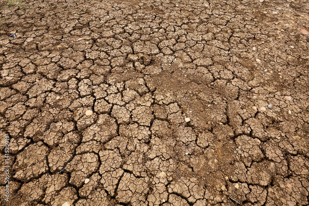 Dry Soil Texture Dry Soil Texture