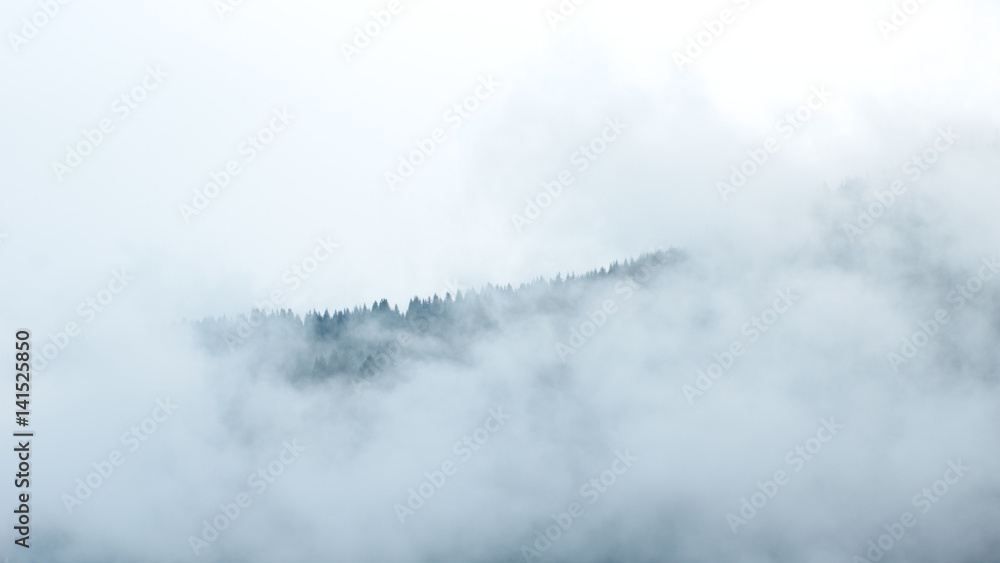 Montagne et forêt de sapins sous les nuages en Haute-Savoie