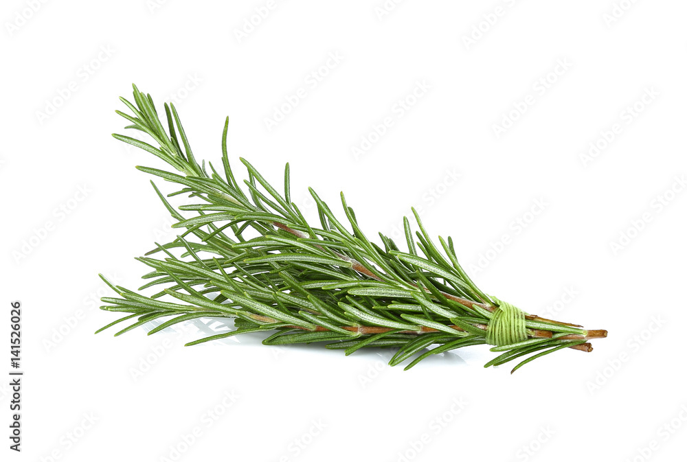 Rosemary isolated on white background