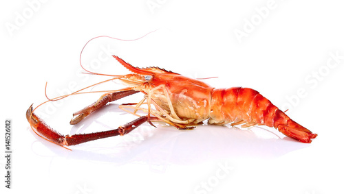 Grilled river shrimp isolated