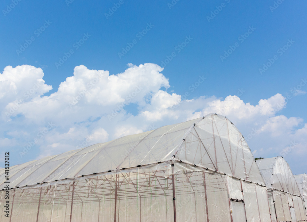 plant crops plant crops