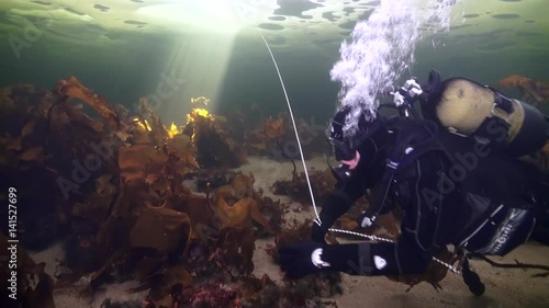 Unique shooting of diver underwter on seabed in ice of White Sea. Creative diving and dangerous extreme sport. Unique shooting. photo