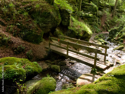 Het Müllerthal in Luxemburg photo