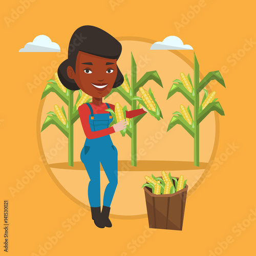 Farmer collecting corn vector illustration.