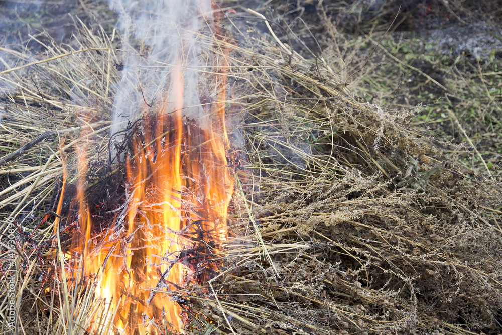 Strong fire from burning dry grass Strong fire from burning dry grass