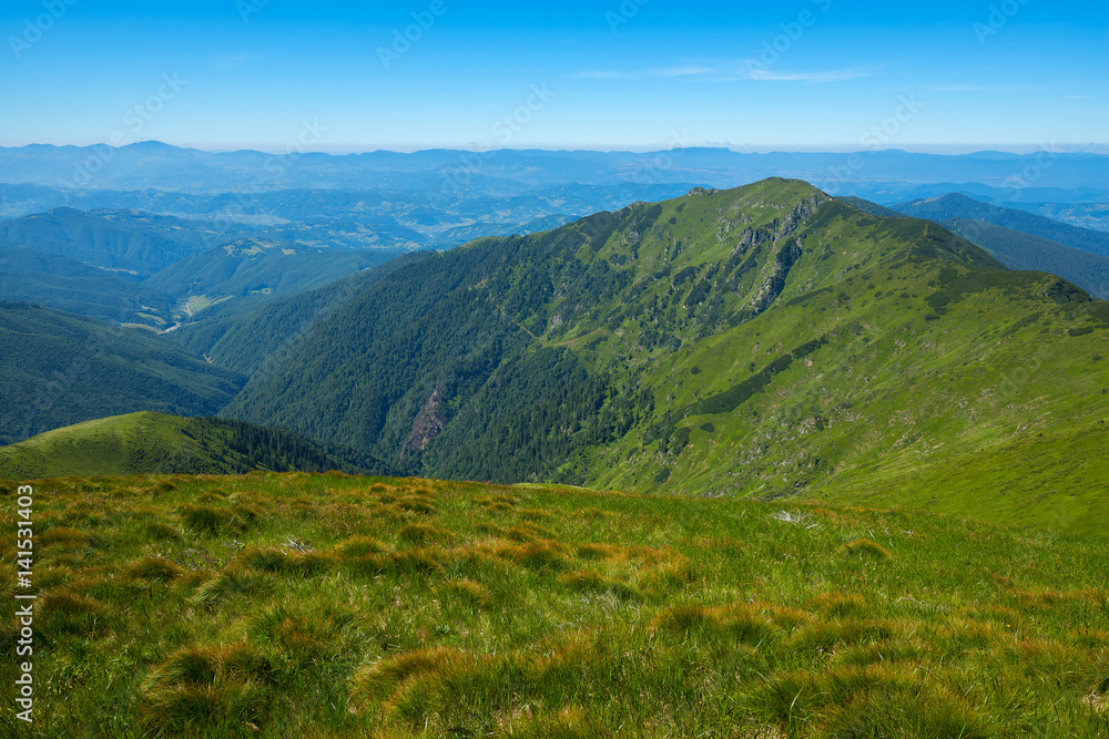 Fototapeta premium Green mountain ridges and alpine meadows