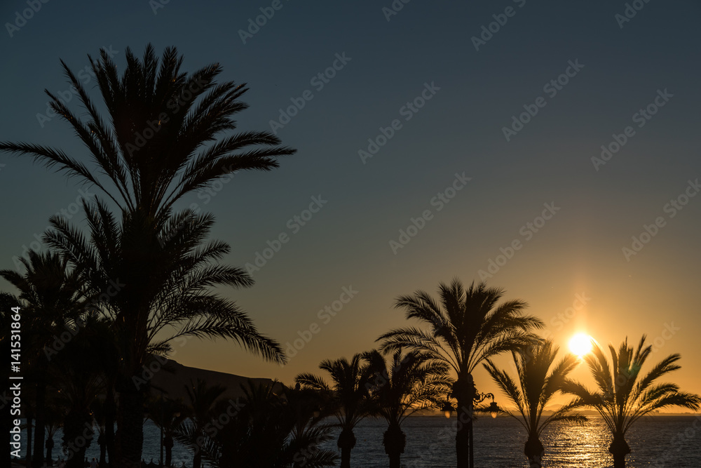 Fototapeta premium sunset over a sunny beach