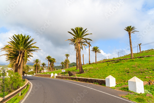Road with palm trees to Haria village on tropical Lanzarote island, Spain