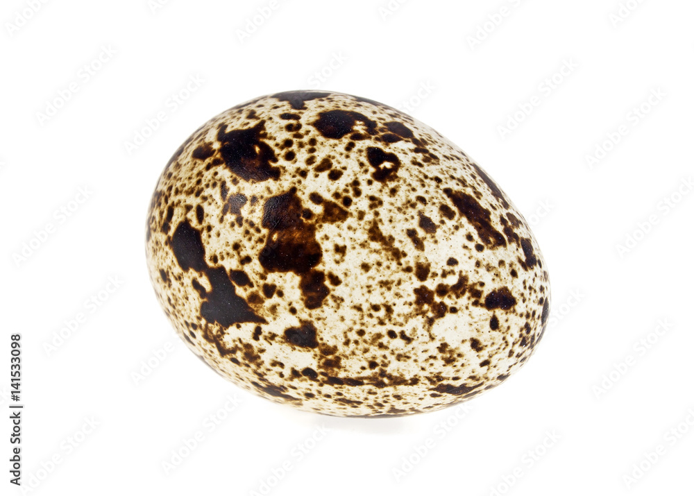 Quail egg on a white background Quail egg on a white background
