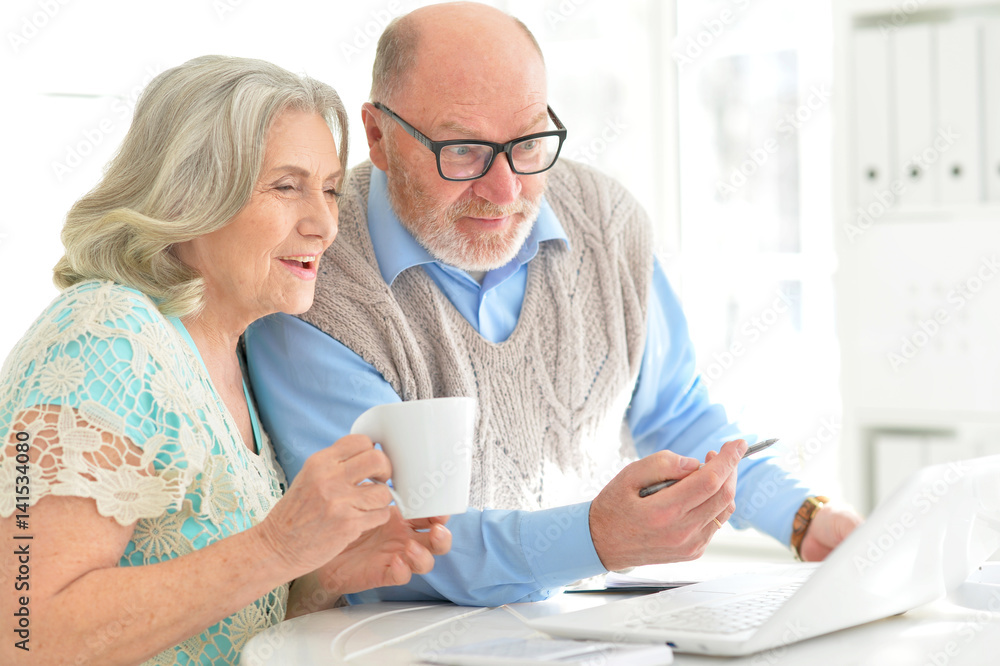 Elderly couple with a laptop Elderly couple with a laptop