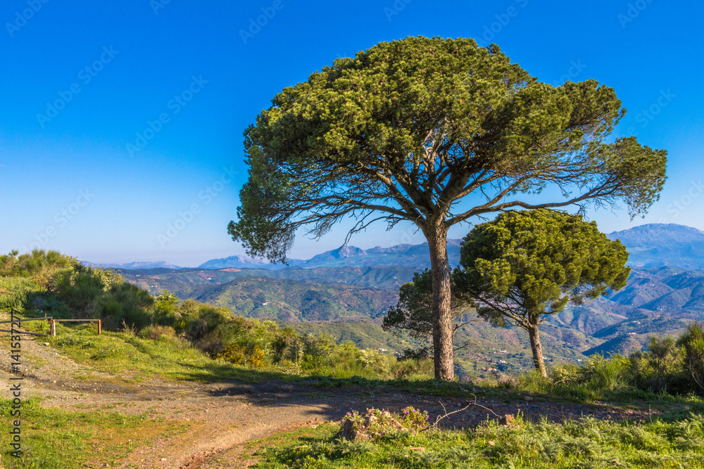 Paisaje con dos árboles