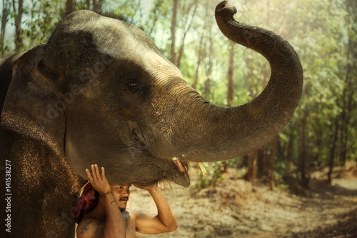 Thailand Mahout man and elephant is life of kui people in surin province Thailand.