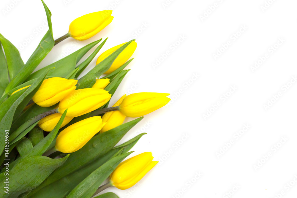 Yellow tulips on a white background. A gift for Valentine's Day, Mother's Day, the eighth of March. Flowers for your girlfriend
Yellow tulips on a white background. A gift for Valentine's Day, Mother's Day, the eighth of March. Flowers for your girlfriend