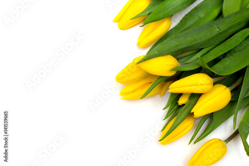  Yellow tulips on a white background. A gift for Valentine's Day, Mother's Day, the eighth of March. Flowers for your girlfriend 