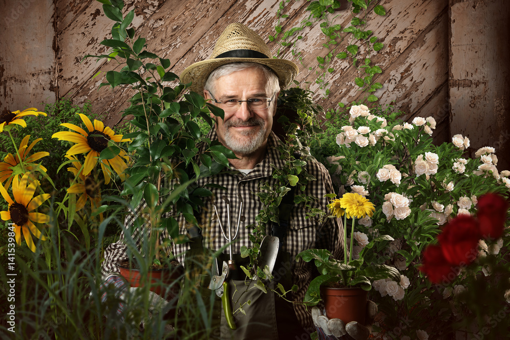 Gärtner zwischen Pflanzen und Blumen Stock Photo Adobe Stock