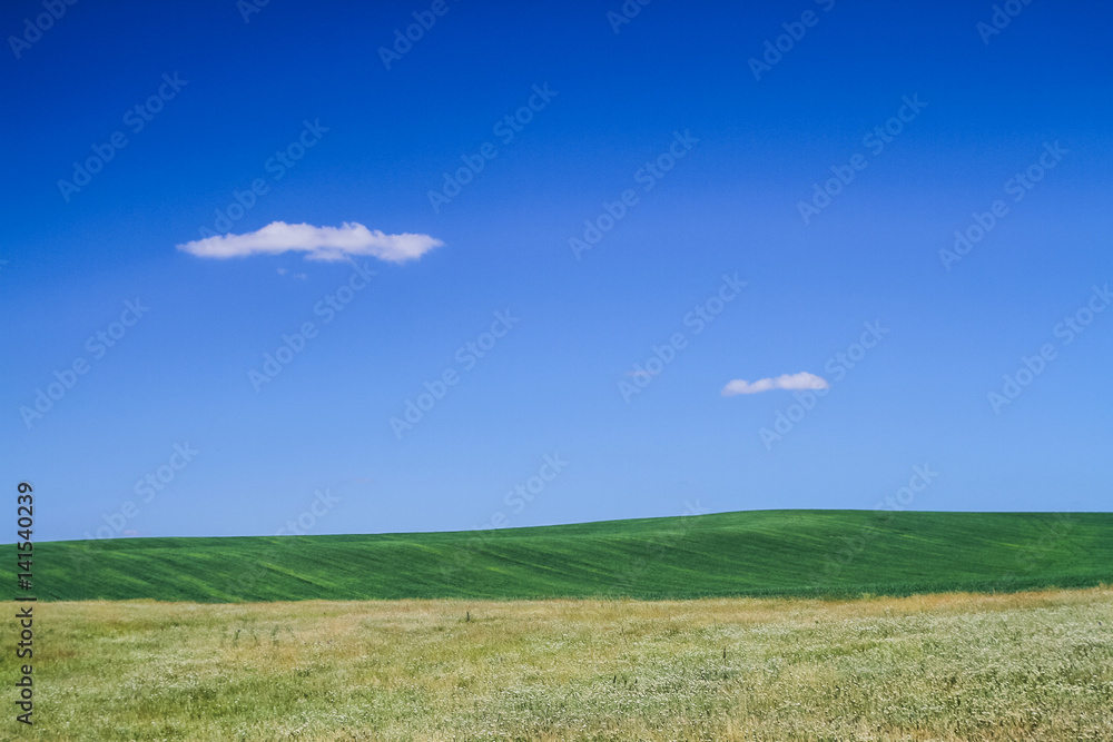 Summer landscape background in Ukraine. Wallpaper