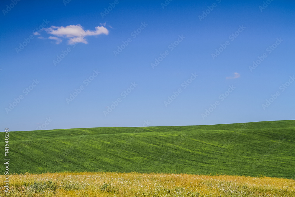 Naklejka premium Summer Landscape background. Field and hills in Ukraine
