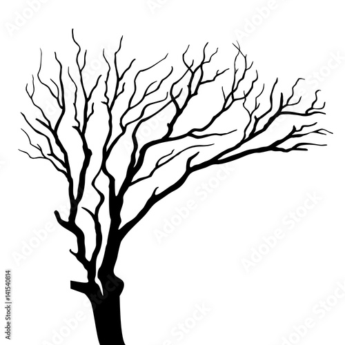 silhouette on tree isolated vector