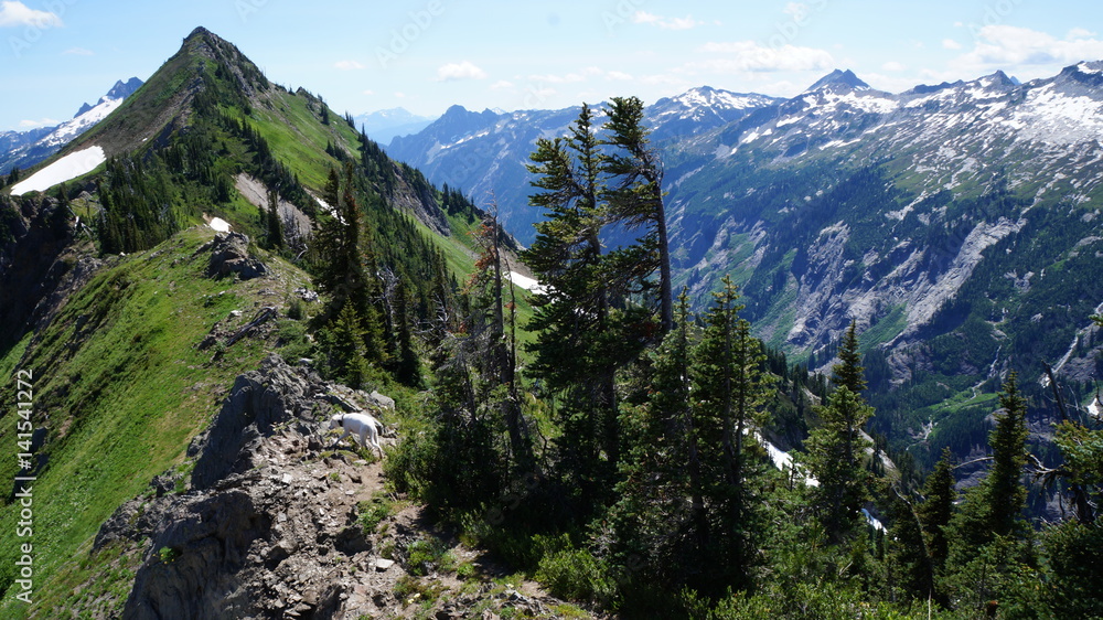 Obraz premium exploring washington state the great pacific northwest