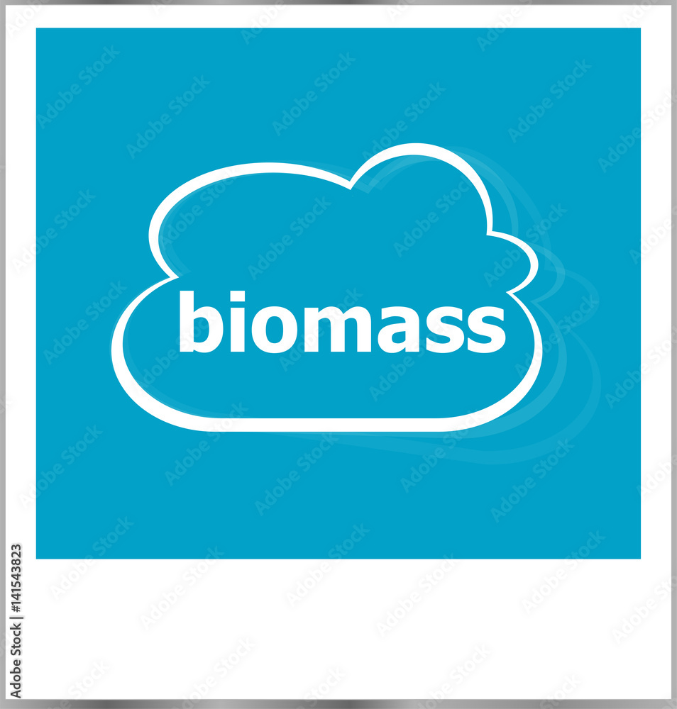 instant photo frame with cloud and biomass word instant photo frame with cloud and biomass word
