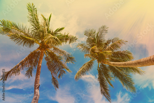 Palm trees at tropical coast, vintage toned and film stylized. Vintage coconut palm tree on beach blue sky with sunlight in summer, instagram filter. Tropical, Caribbean, Thailand, Mexico, Dominicana