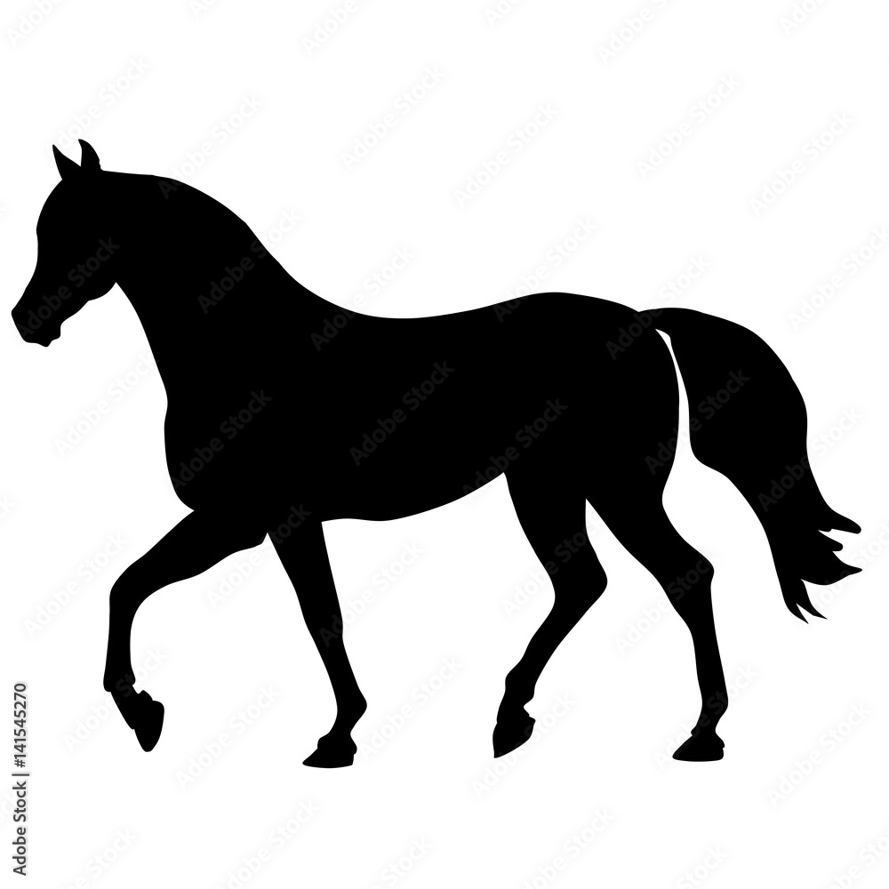 black horse silhouette. Vector animal illustration 