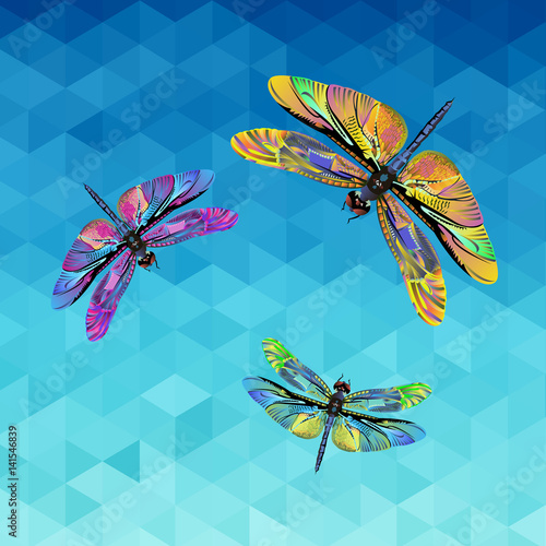 dragonfly, illustration, nature, wing, background, vector, insect