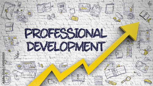 Professional Development Drawn on White Brickwall. 3d.