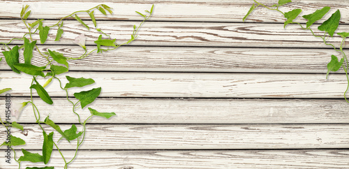 Wooden wall and  bindweed t...