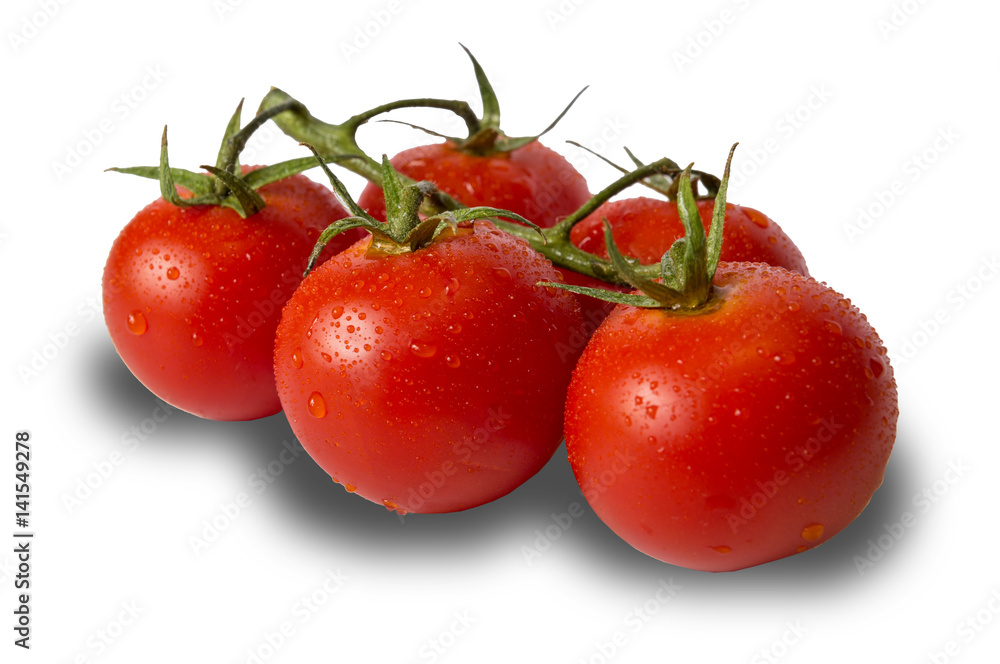 fresh tomatoes isolated on white background with shadow fresh tomatoes isolated on white background with shadow