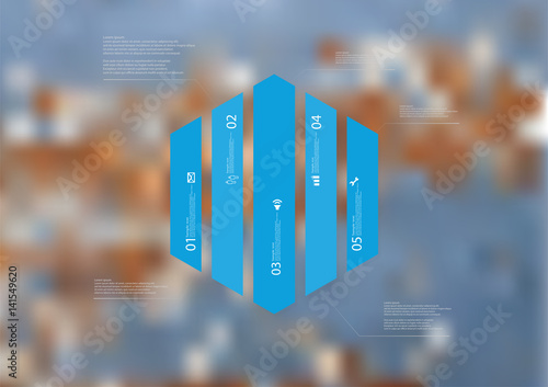 Illustration infographic template with hexagon vertically divided to five blue parts