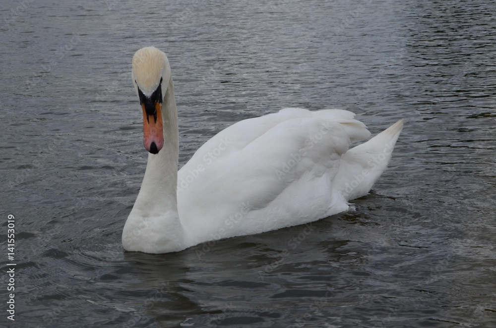 Obraz premium Londyn