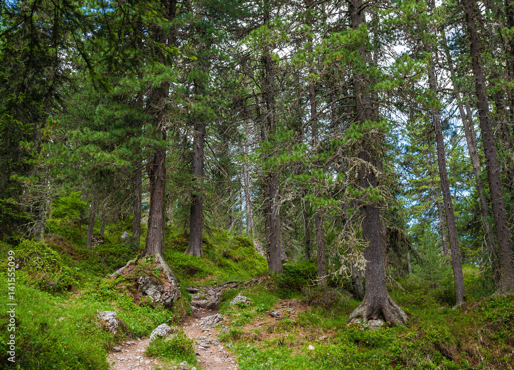 Obraz premium Adolf Munkel trail - famous tourist route in Dolomite Alps, Italy