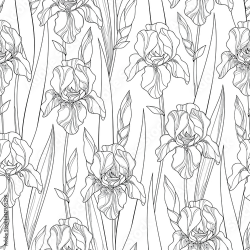 Fototapeta Naklejka Na Ścianę i Meble -  Vector seamless pattern with outline Iris flowers, bud and leaves in black on the white background. Floral background with ornate Iris in contour style for spring or summer design and coloring book.