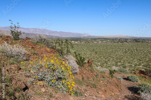 View of Borrego Valley, Anza-Borrego Desert State Park, California