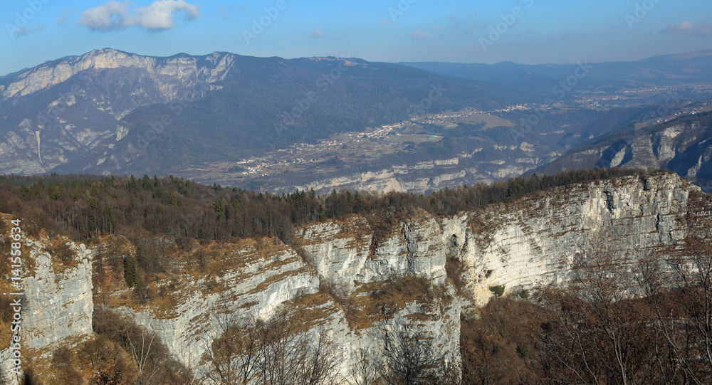 cliff with rock and forest in the mountains in winter