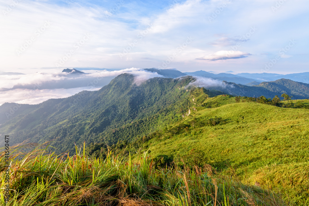 Beautiful landscape nature in morning on peak mountain with sunlight cloud fog and bright blue sky in winter at Phu Chi Fa Forest Park is a famous tourist attraction of Chiang Rai Province, Thailand
