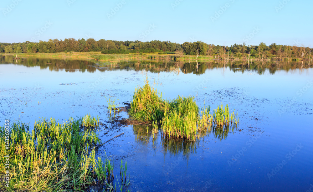 Evening summer lake landscape. Evening summer lake landscape.